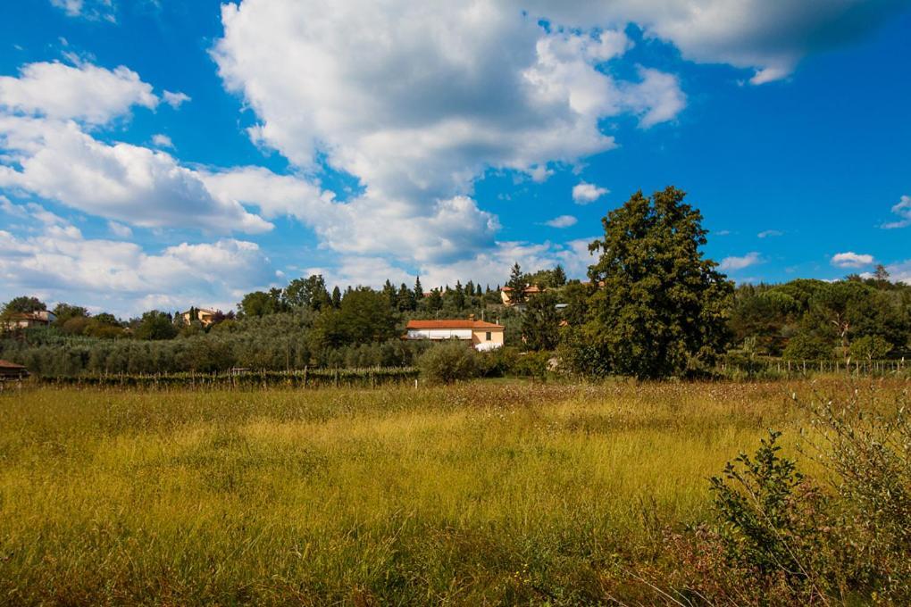 Agriturismo Terre Di Leonardo Bed & Breakfast Vinci Exterior photo